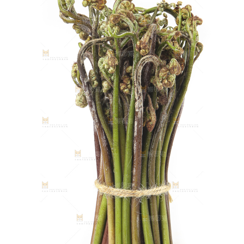 白底上放着野生蕨菜