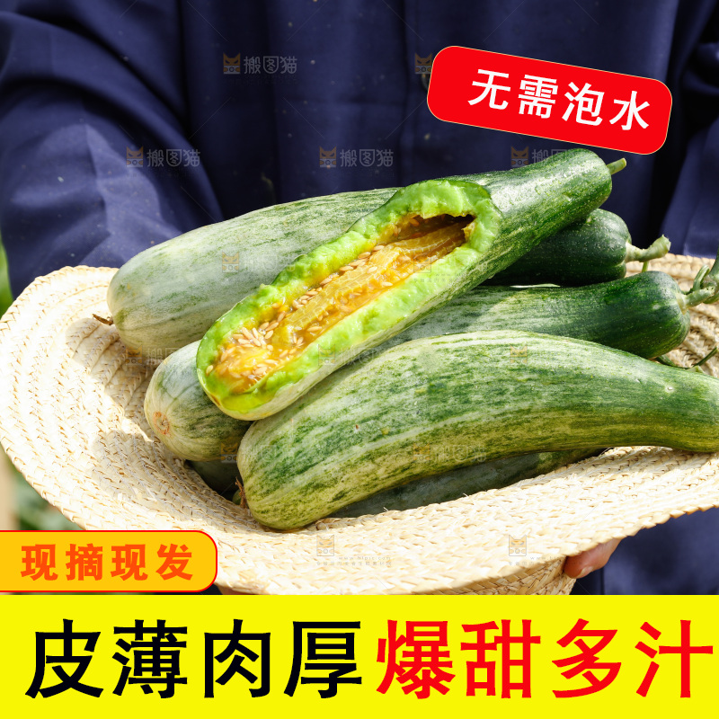 农民手里拿着新鲜采摘羊角蜜