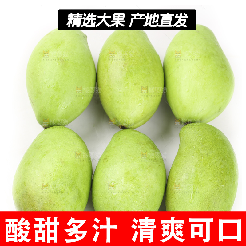 生芒果摆放在白底上