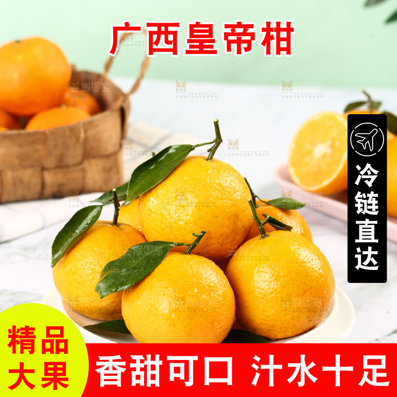 手里拿着皇帝贡柑