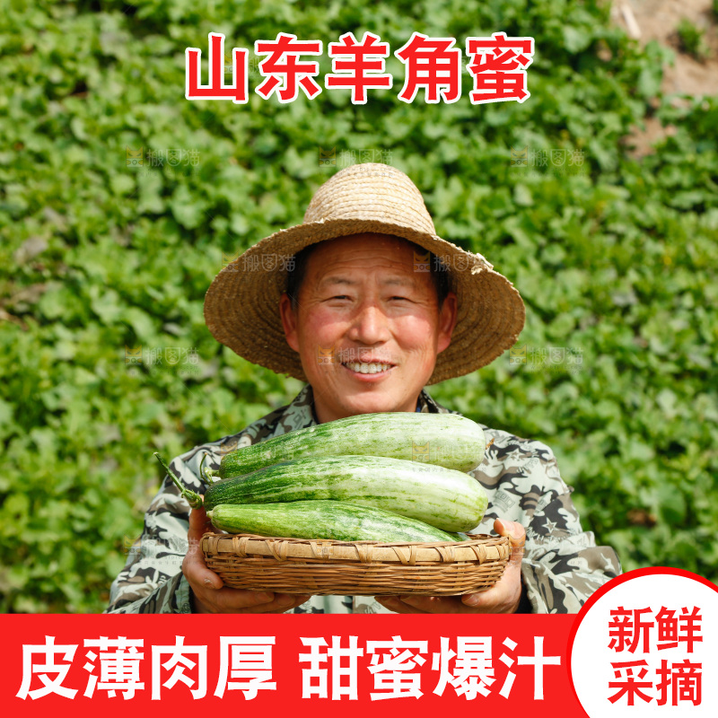 农民手里端着一篮新鲜羊角蜜