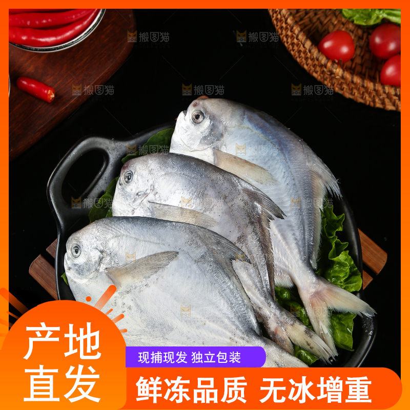 黑底上摆放着一盘舟山银鲳鱼