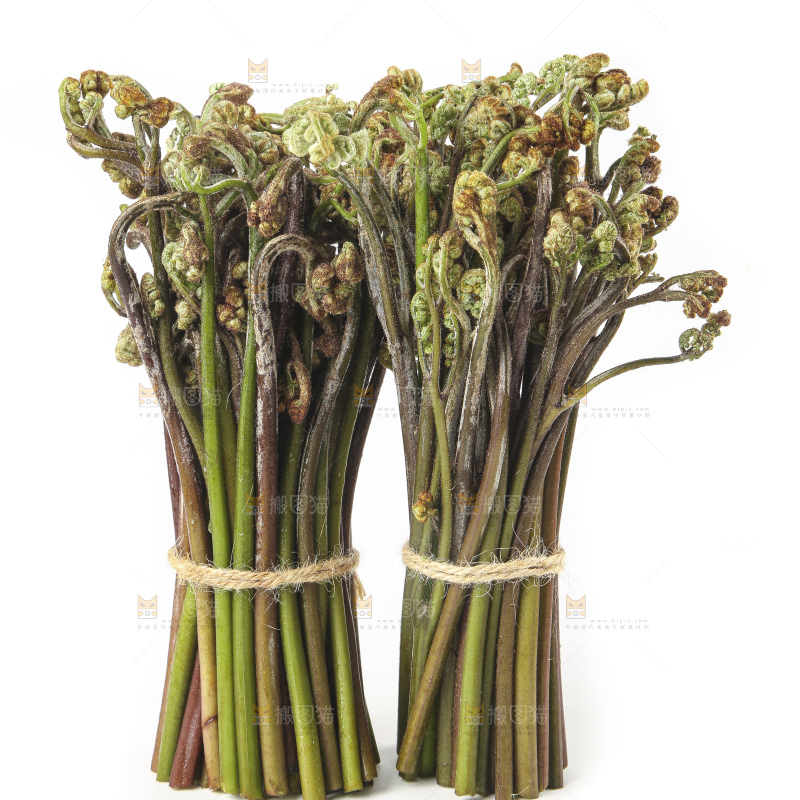 白底上放着野生蕨菜