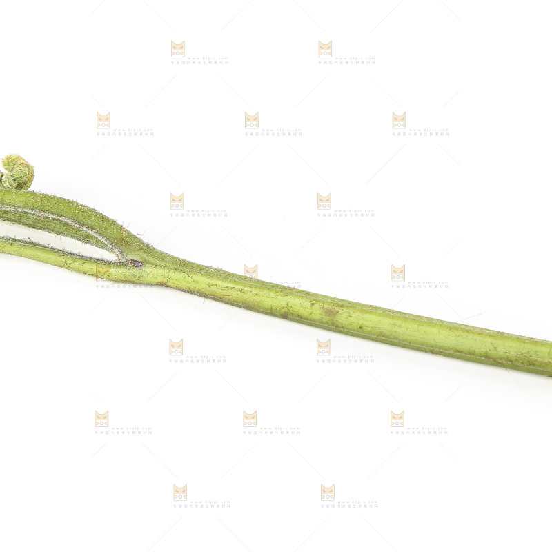 白底上放着拳头菜