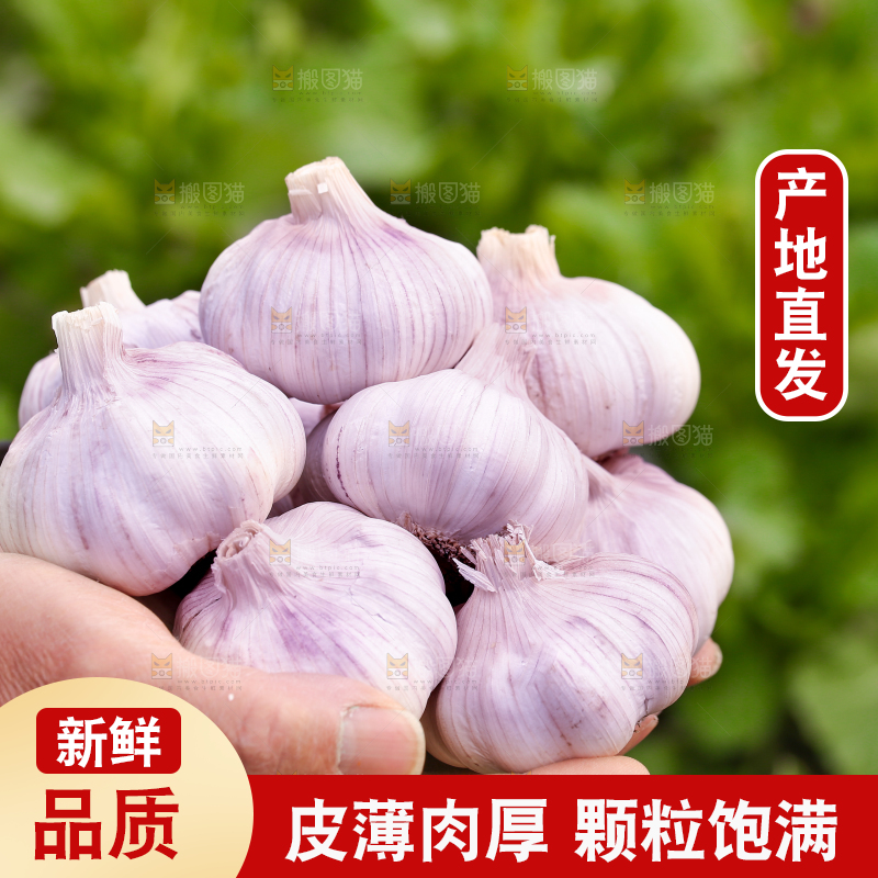 手里捧着大蒜头