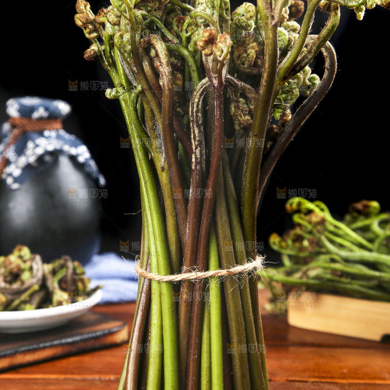 木底上的蕨菜