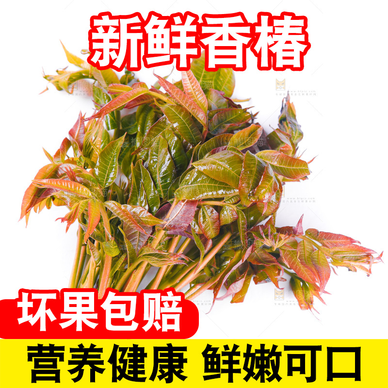 白底上放着野生香椿