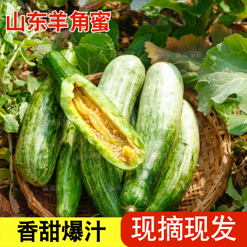 田地里放着一篮甜瓜