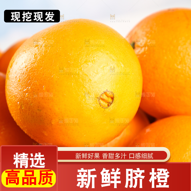 一堆赣南脐橙