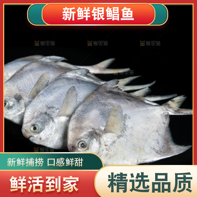 黑底上放着银鲳鱼