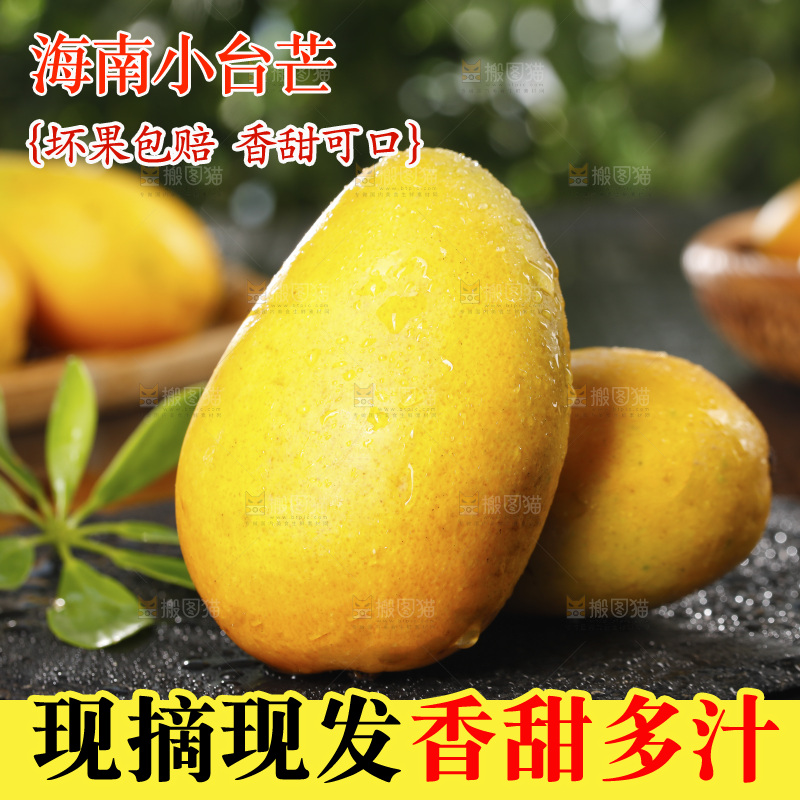 黑底上放着小台农芒果