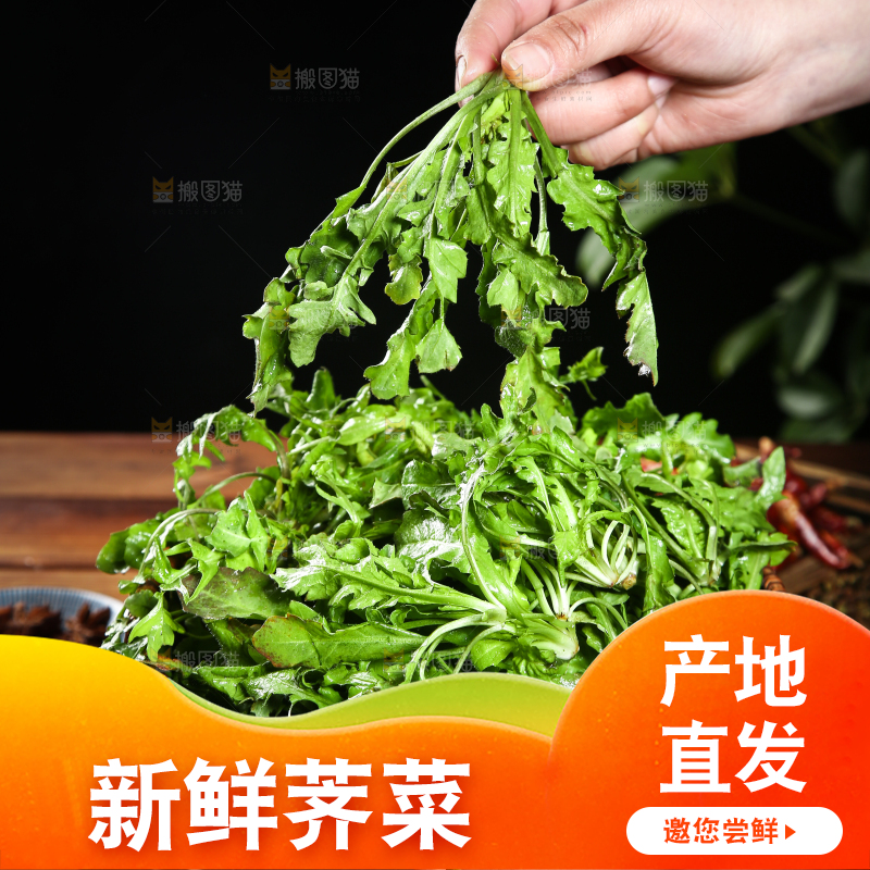 手里端着一篮新鲜地菜