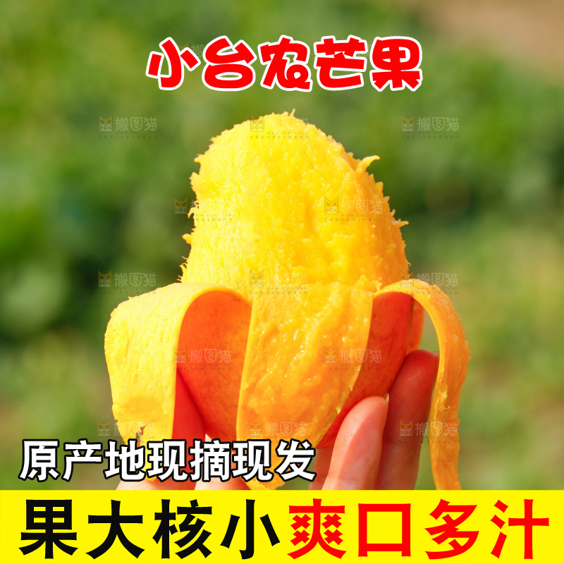 手里拿着小台芒