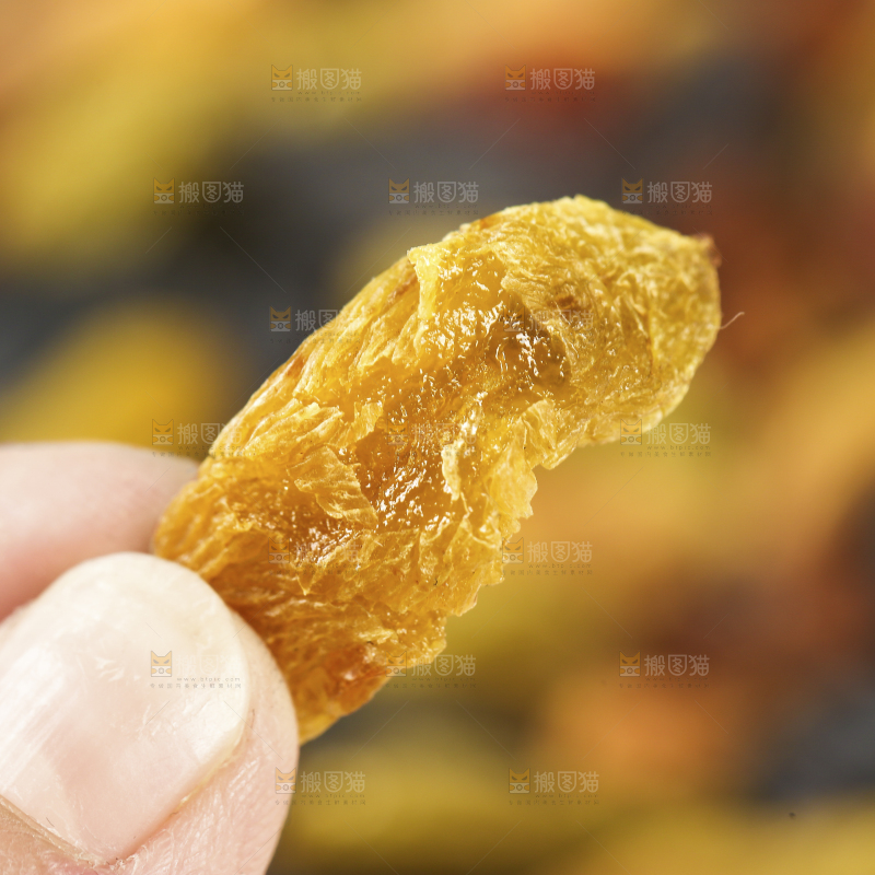 手里拿着树上黄葡萄干