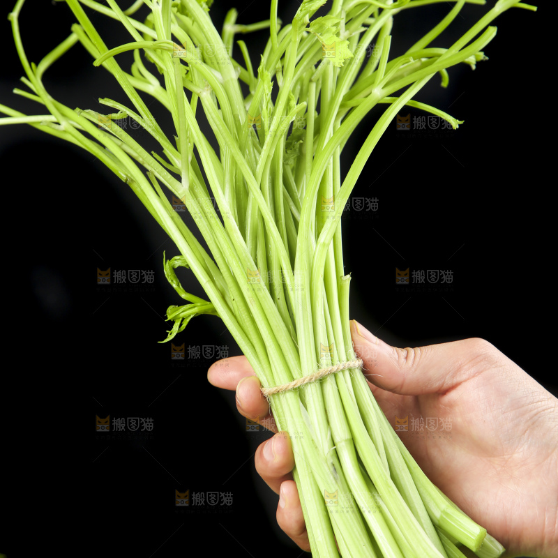 手里拿着水芹菜