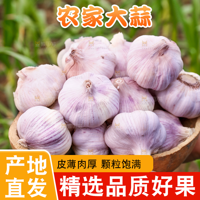 手里捧着大蒜