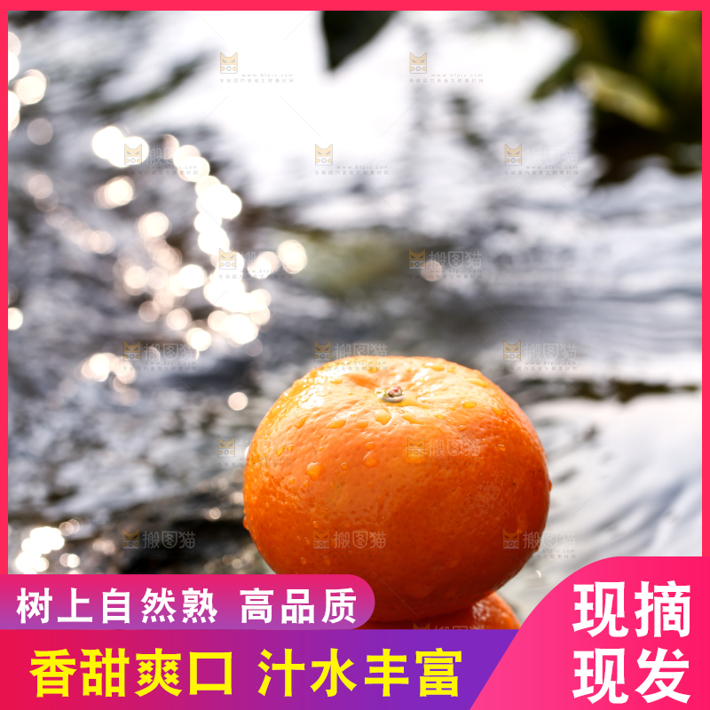 溪水边放着沃柑