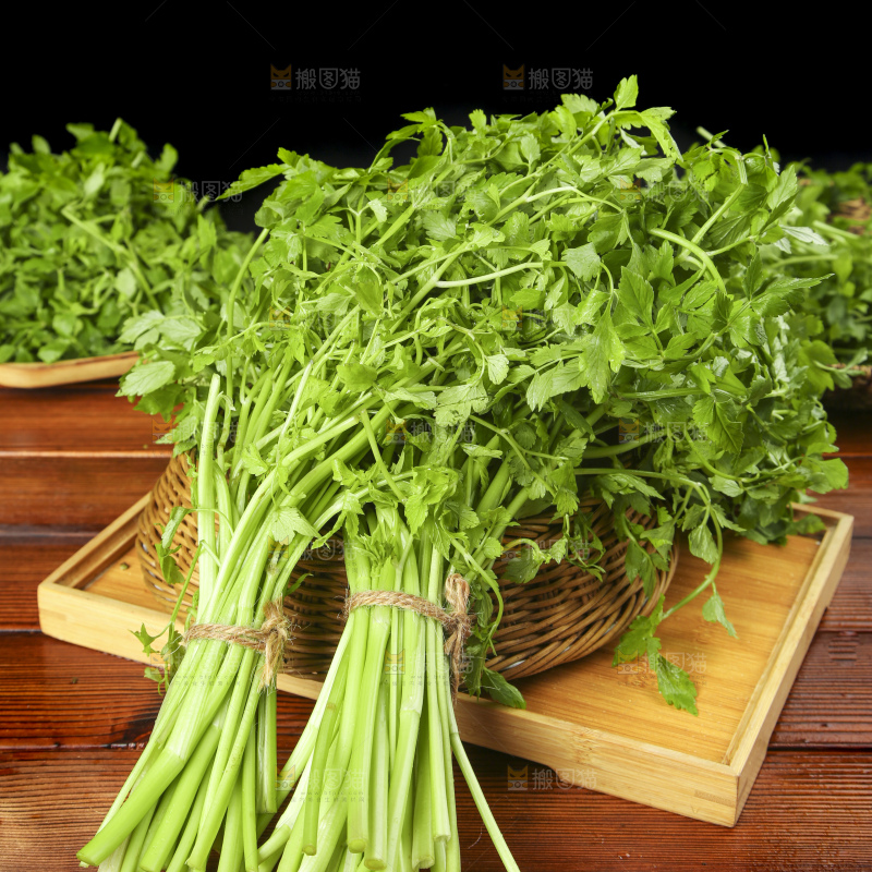 木底上的野芹菜