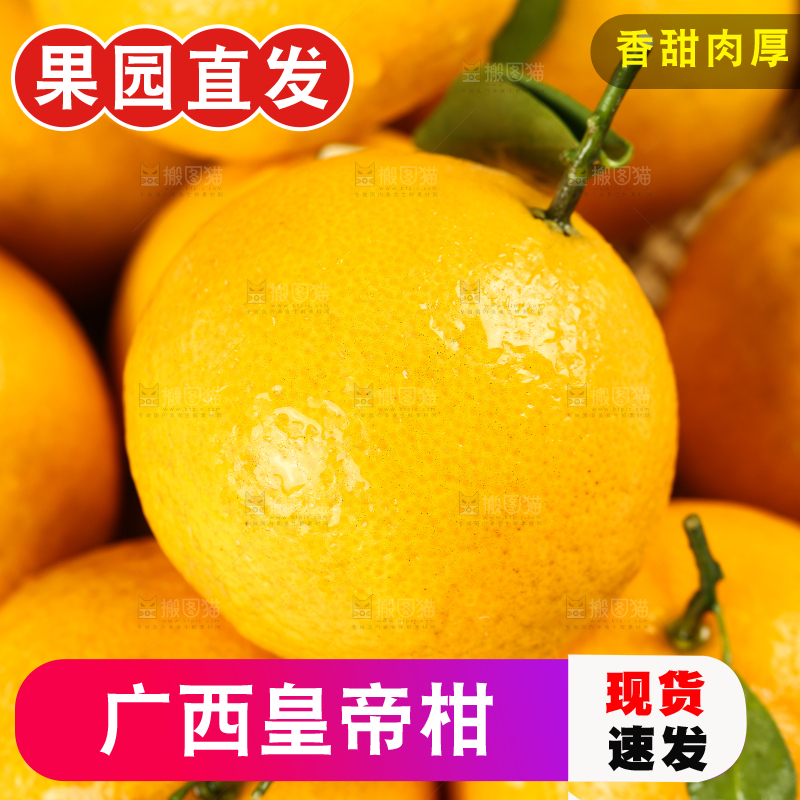 一堆武鸣皇帝柑