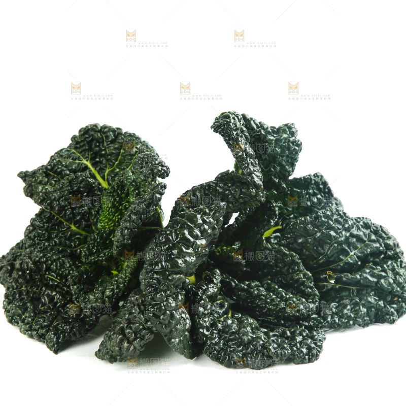 泡泡青摆放在白底上