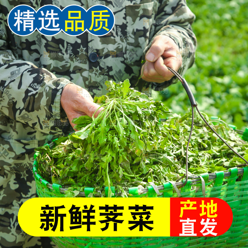 手里提着一篓新鲜地菜