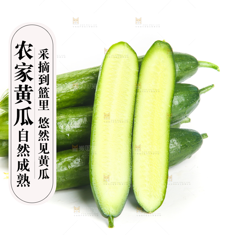 白底上放着一堆山东水果黄瓜