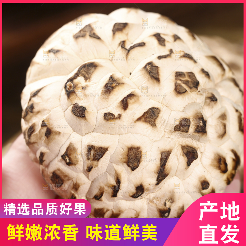 手里拿着花菇