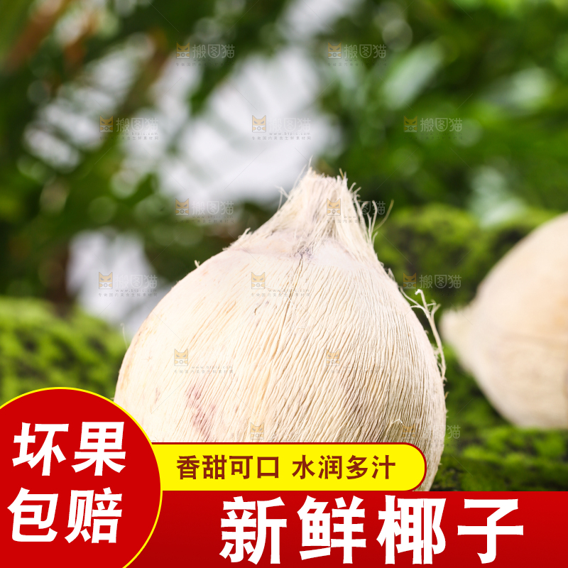 绿色草坪上的椰子