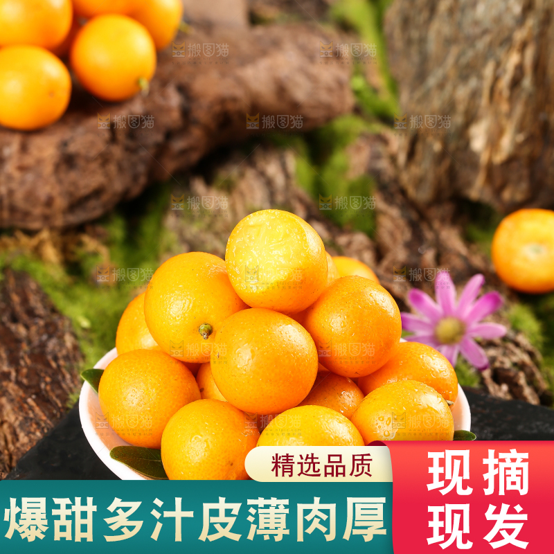 黑石板上放着一盘融安小金桔