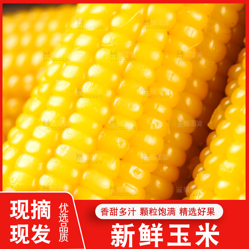 一堆玉米棒