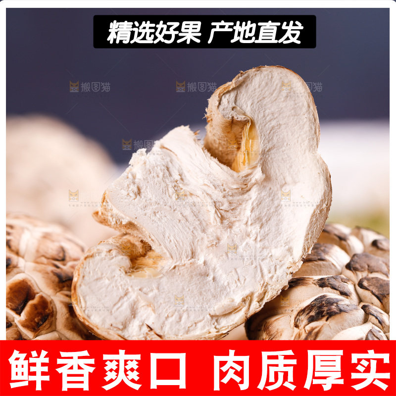 一堆长白山花菇