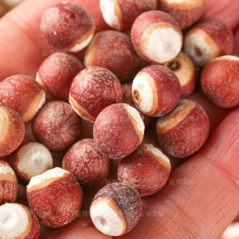 手里拿着鸡头米