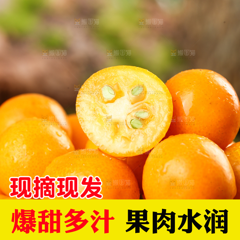一堆广西小金桔