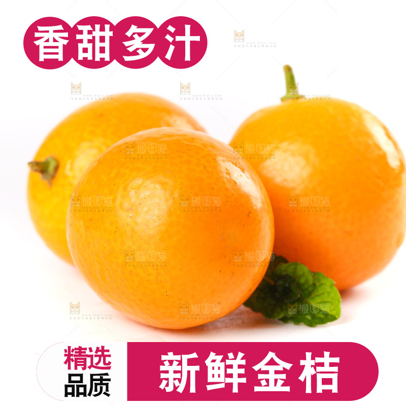 白底上放着黄皮金桔