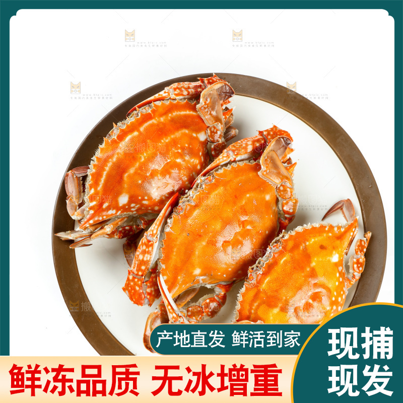 一盘清蒸梭子蟹