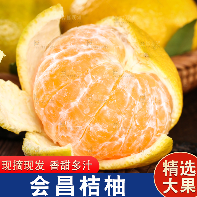 一个撕开皮的建阳桔柚