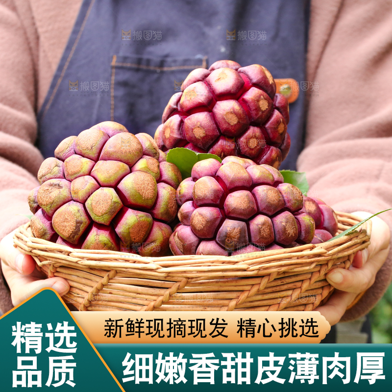 手里端着一篮福娜果黑老虎