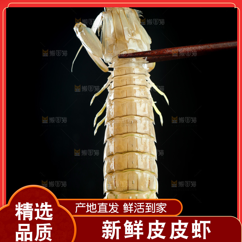 筷子上夹着青岛皮皮虾