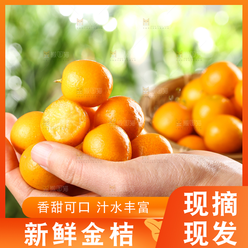 手里捧着金橘