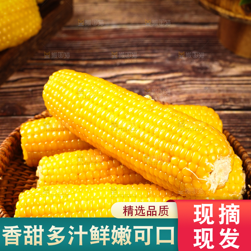 木底上一篮东北糯玉米