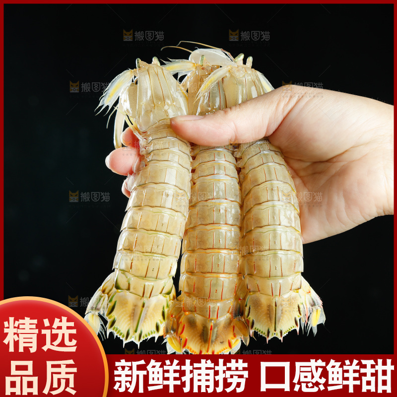 手里拿着皮皮虾