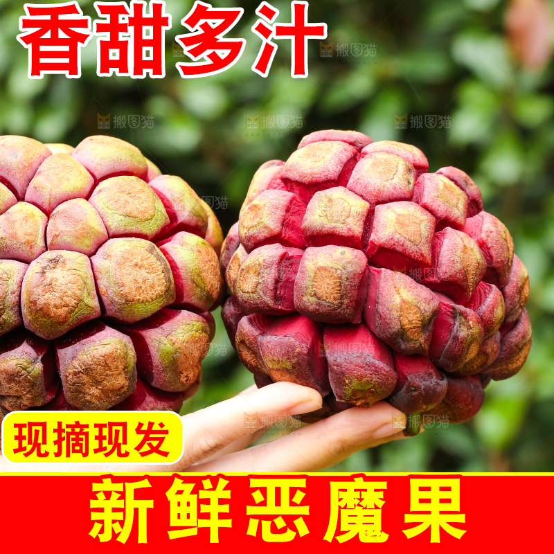 手里拿着恶魔果