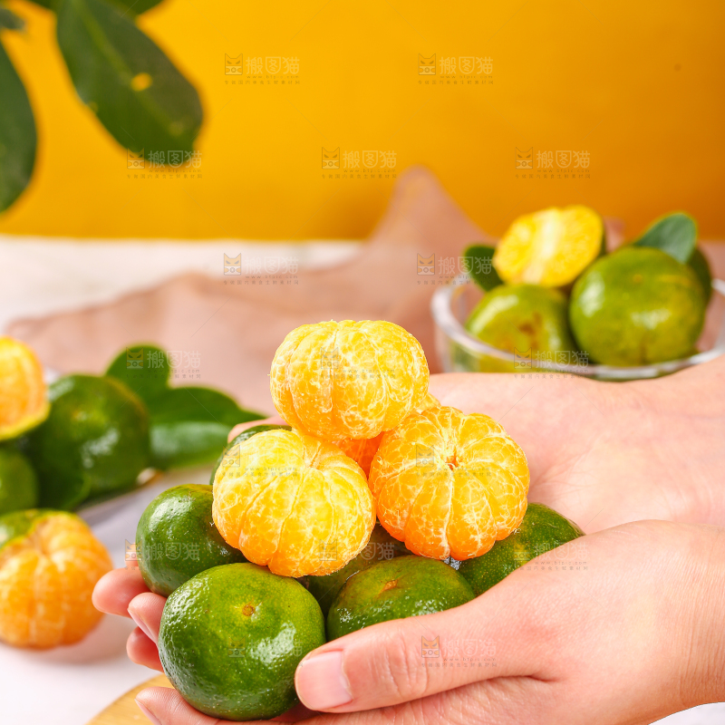 手里捧着清香蜜橘