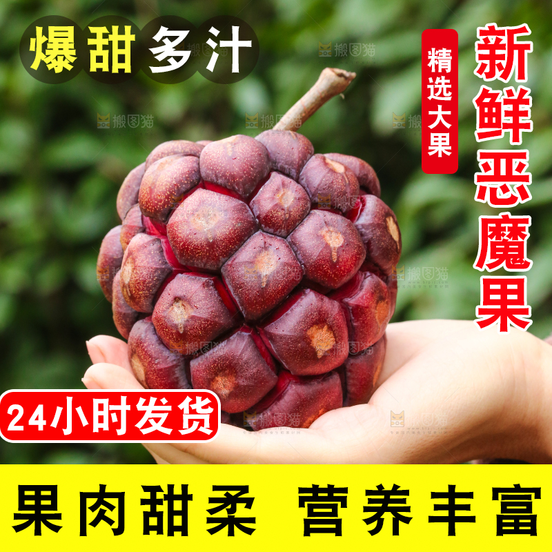 手里拿着恶魔果