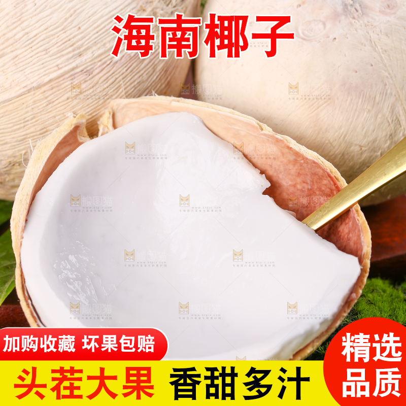 勺子上舀着椰白