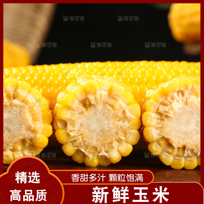 木板上的东北黄糯玉米