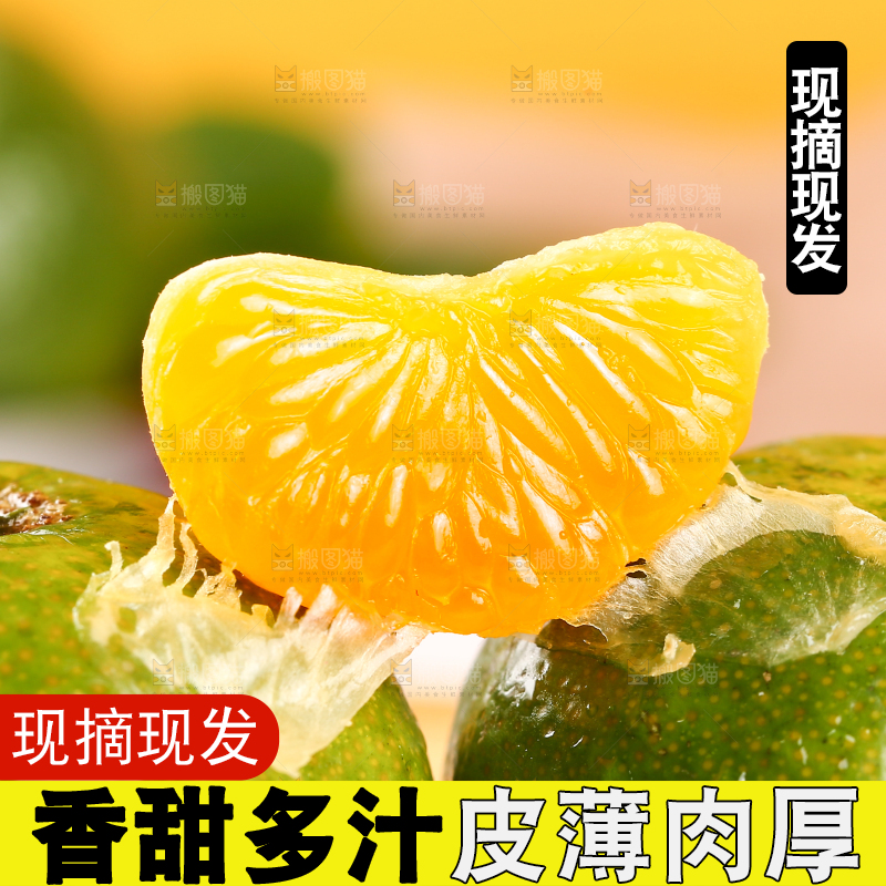 清香蜜桔果肉