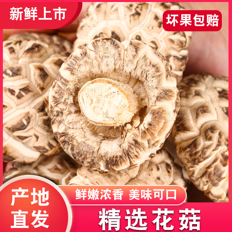 手里捧着干花菇