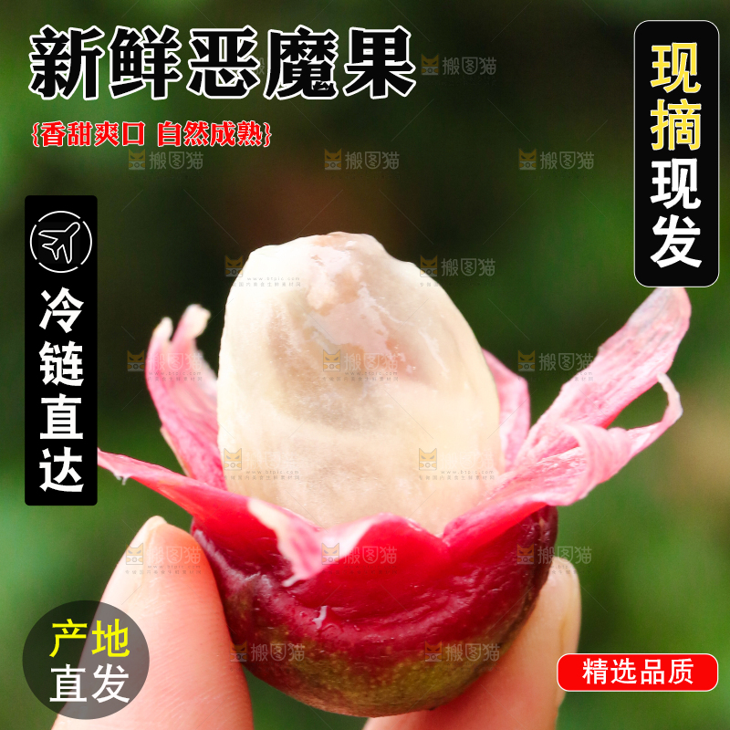 手里拿着一颗撕皮的布福娜