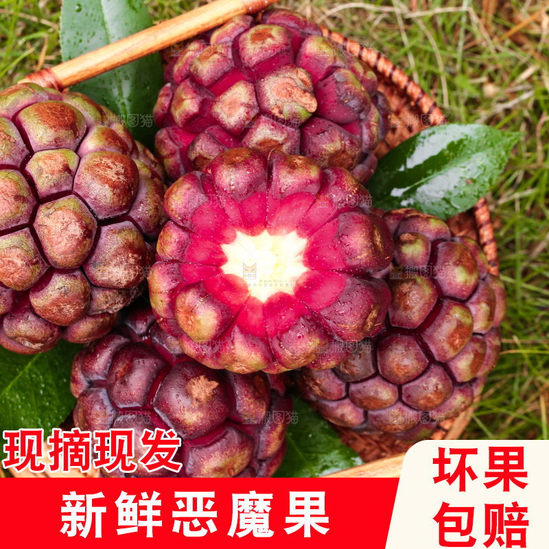 一篮新鲜黑老虎